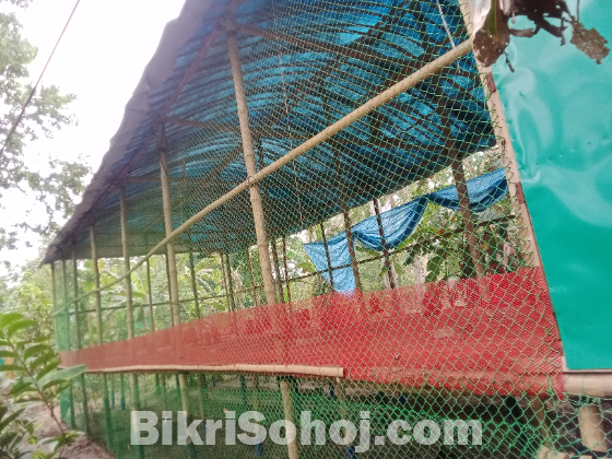 মুরগির খামার সকল কিছু বিক্রি করা হবে